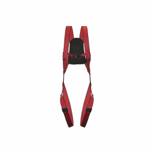 FULL BODY HARNESS <br> CIG19451