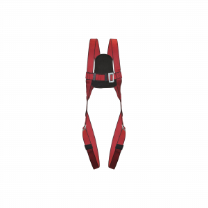 FULL BODY HARNESS <br> CIG19452